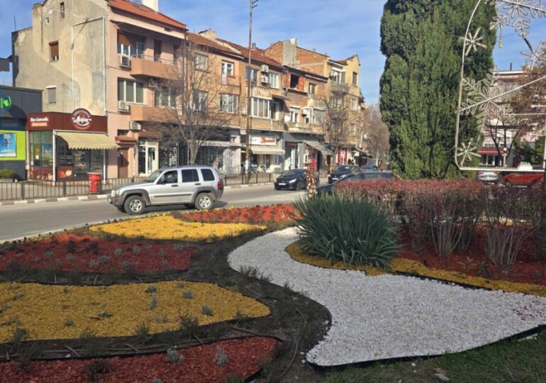 Стартира пролетната поддръжка на зелените площи в Асеновград (СНИМКИ) 3 Стартира пролетната поддръжка на зелените площи в Асеновград (СНИМКИ)