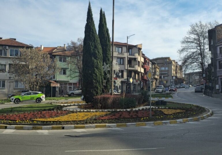 Стартира пролетната поддръжка на зелените площи в Асеновград (СНИМКИ)