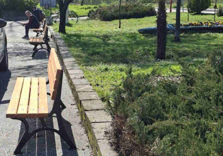 Залесяват Гребната база в Пловдив с близо 200 чинара (ГАЛЕРИЯ)