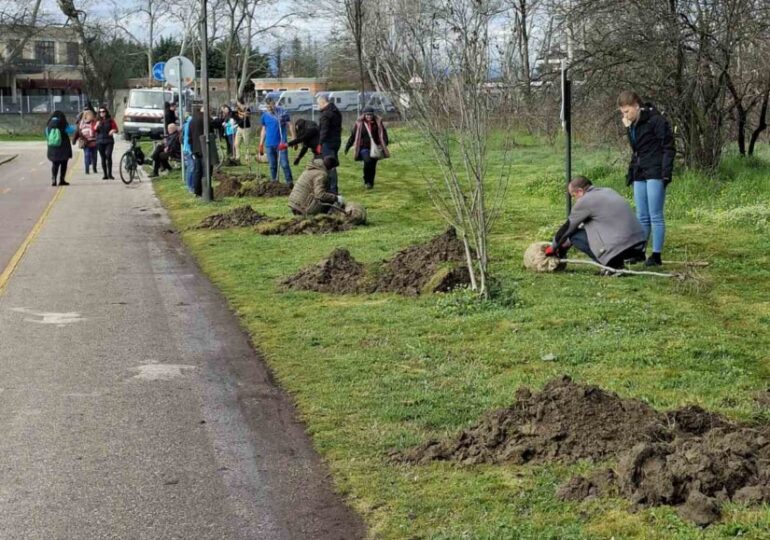 Залесяват Гребната база в Пловдив с близо 200 чинара (ГАЛЕРИЯ)