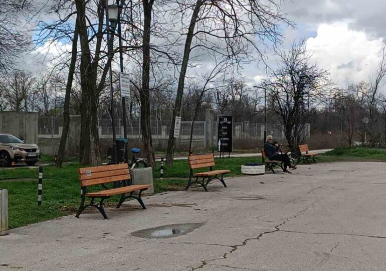 Залесяват Гребната база в Пловдив с близо 200 чинара (ГАЛЕРИЯ)