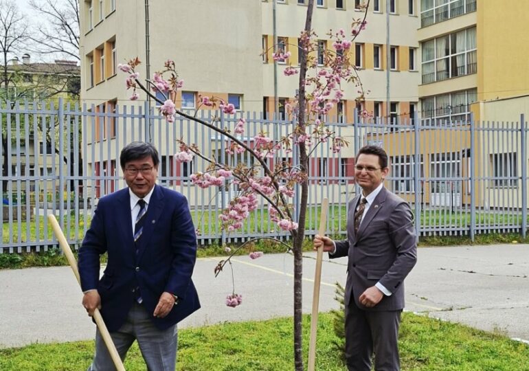 Японският посланик засади сакура в двора на СУ „Свети Климент Охридски“ в Пловдив (ГАЛЕРИЯ)
