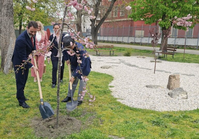 Японският посланик засади сакура в двора на СУ „Свети Климент Охридски“ в Пловдив (ГАЛЕРИЯ)