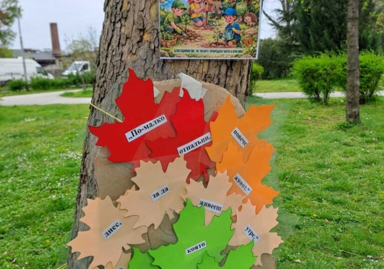 В район „Южен“ отбелязаха Седмицата на гората (СНИМКИ)