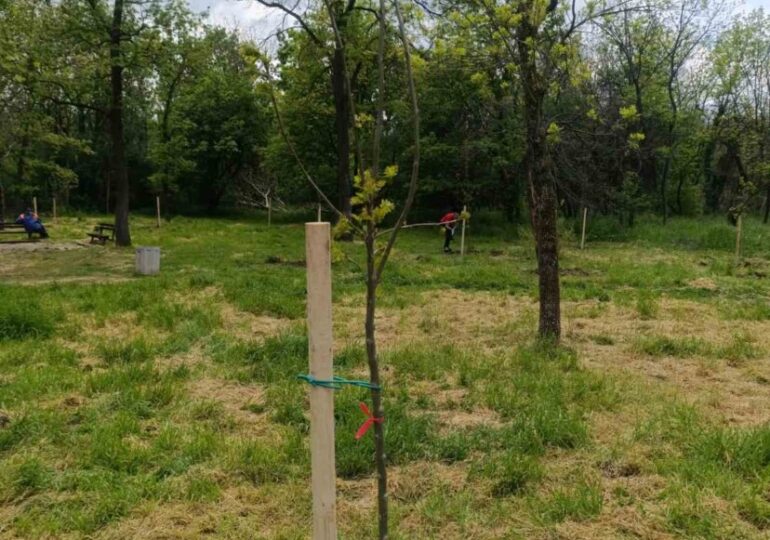 Община Пловдив и SEEBURGER Bulgaria отбелязаха Деня на Земята с ново залесяване в парк „Лаута“ (ГАЛЕРИЯ) 5 Община Пловдив и SEEBURGER Bulgaria отбелязаха Деня на Земята с ново залесяване в парк „Лаута“ (ГАЛЕРИЯ)
