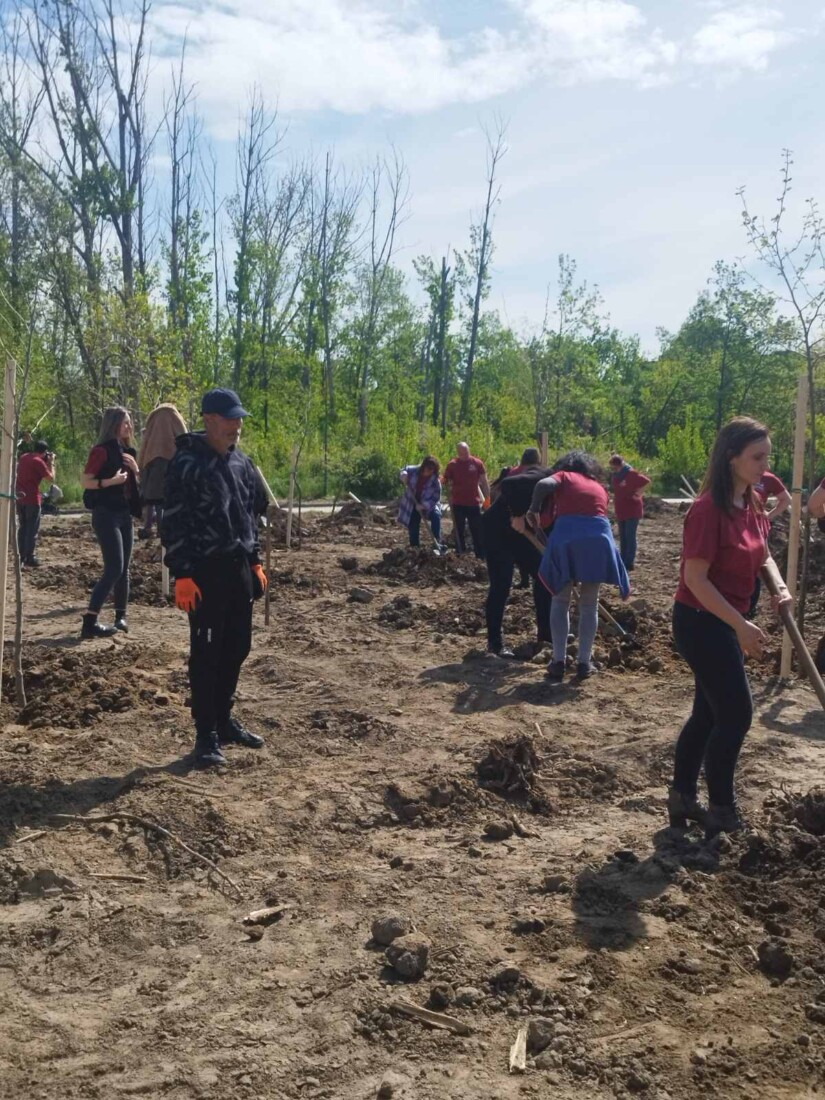 Приключи пролетната залесителна акция: 1000 нови дървета красят Пловдив (СНИМКИ)