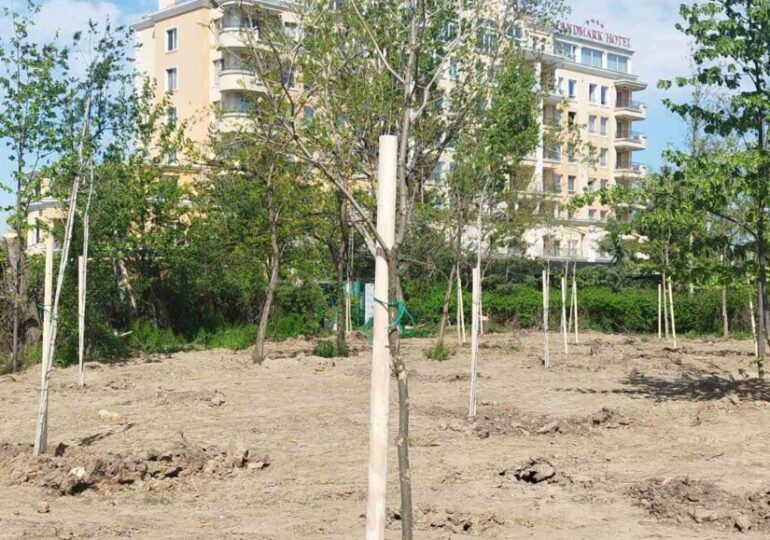 Приключи пролетната залесителна акция: 1000 нови дървета красят Пловдив (СНИМКИ)