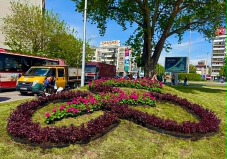 Пловдив разцъфна в цветовете на Джиро д’Италия (СНИМКИ)