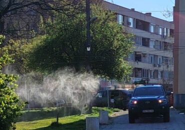 Важно: Пръскат срещу комари и кърлежи в Асеновград