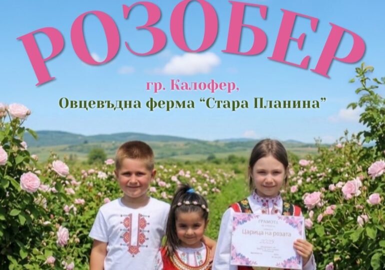 Потопете се в магията на розите: Стартира Розобер 2026 в Калофер (ПРОГРАМА)