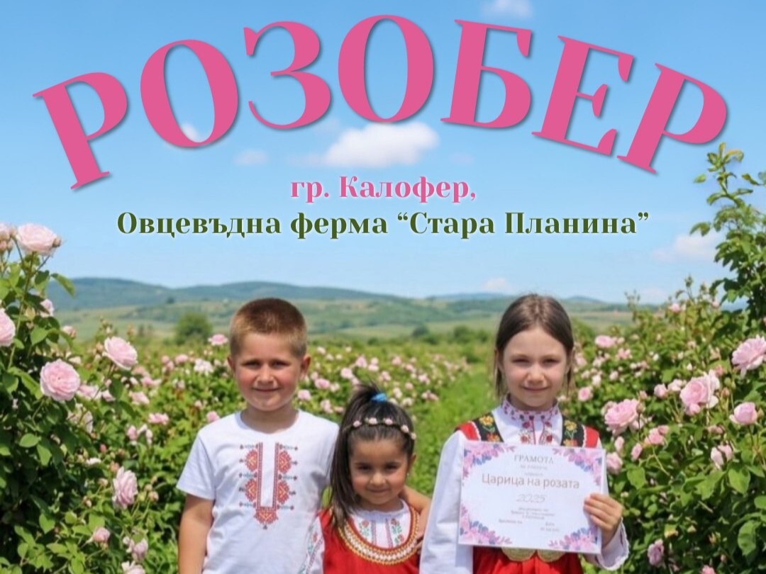 Потопете се в магията на розите: Стартира Розобер 2026 в Калофер (ПРОГРАМА)