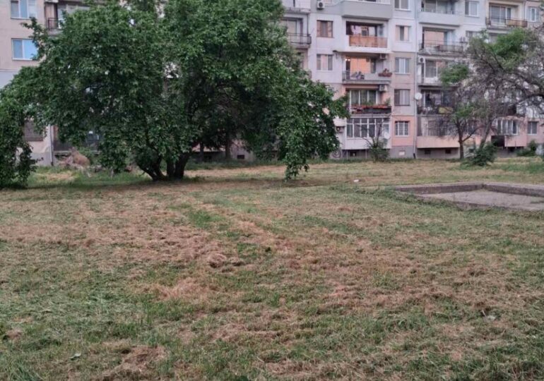 Косенето в Пловдив: Без почивен ден от 8:00 до 22:30 часа (ГАЛЕРИЯ) 6 Косенето в Пловдив: Без почивен ден от 8:00 до 22:30 часа (ГАЛЕРИЯ)