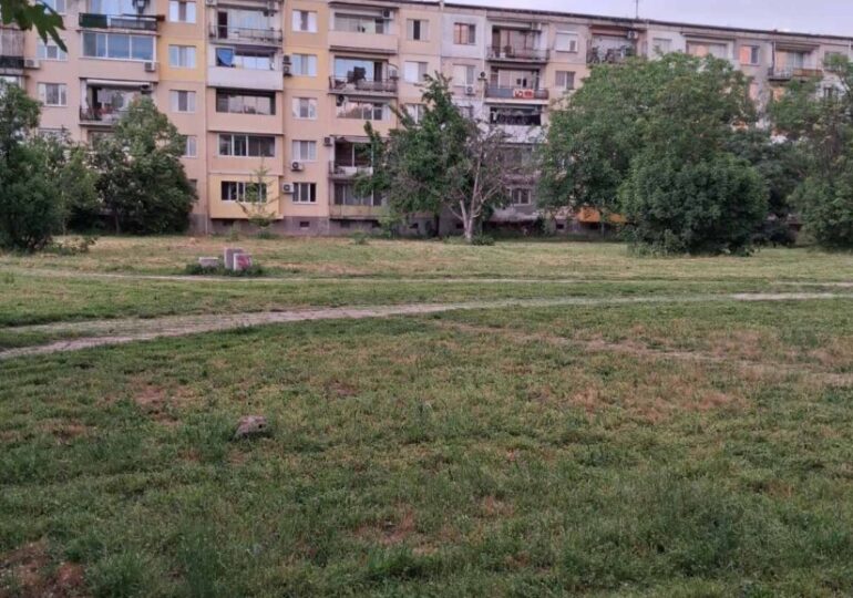 Косенето в Пловдив: Без почивен ден от 8:00 до 22:30 часа (ГАЛЕРИЯ) 11 Косенето в Пловдив: Без почивен ден от 8:00 до 22:30 часа (ГАЛЕРИЯ)