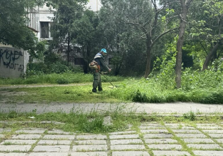 Косенето в Пловдив: Без почивен ден от 8:00 до 22:30 часа (ГАЛЕРИЯ) 8 Косенето в Пловдив: Без почивен ден от 8:00 до 22:30 часа (ГАЛЕРИЯ)