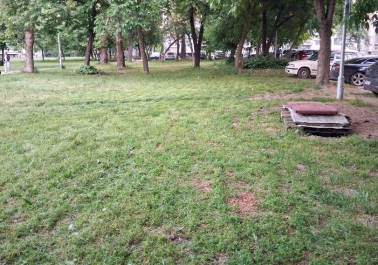 Косенето в Пловдив: Без почивен ден от 8:00 до 22:30 часа (ГАЛЕРИЯ) 7 Косенето в Пловдив: Без почивен ден от 8:00 до 22:30 часа (ГАЛЕРИЯ)