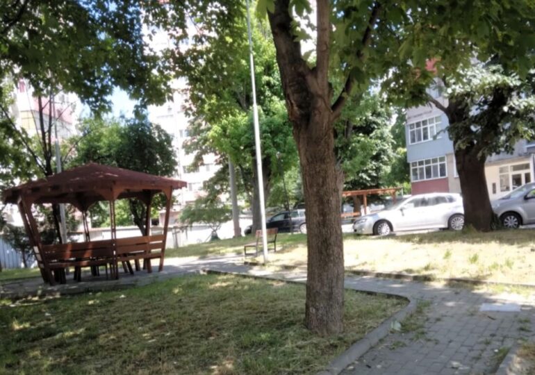 Община Асеновград с актуална информация за обработката на зелените зони в града (ГАЛЕРИЯ)
