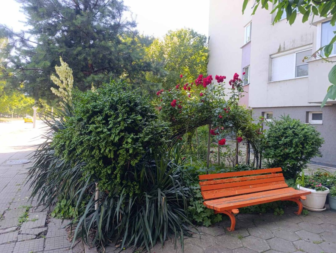 Наградиха най-красиво озеленените междублокови пространства в Пловдив (ГАЛЕРИЯ) 2 Наградиха най-красиво озеленените междублокови пространства в Пловдив (ГАЛЕРИЯ)
