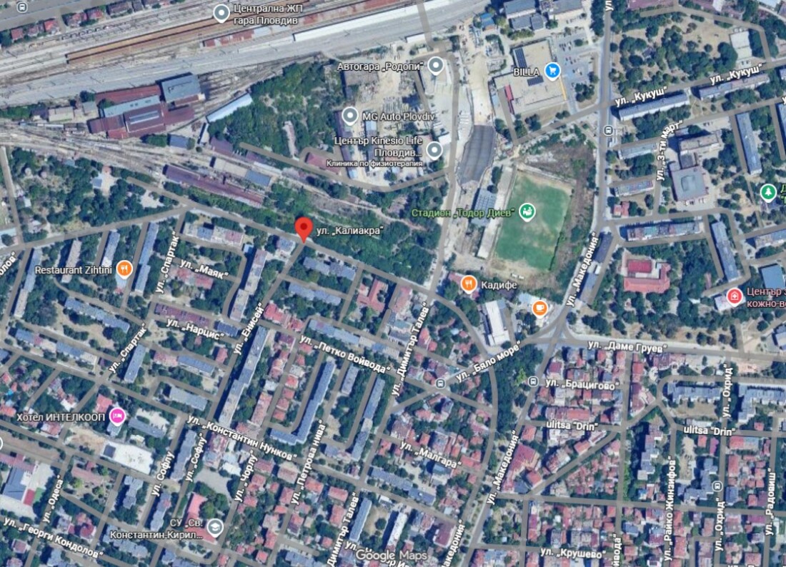 Кастренето на дървета спира движението на автомобили по улица в пловдивския район „Южен“ (КАРТА)