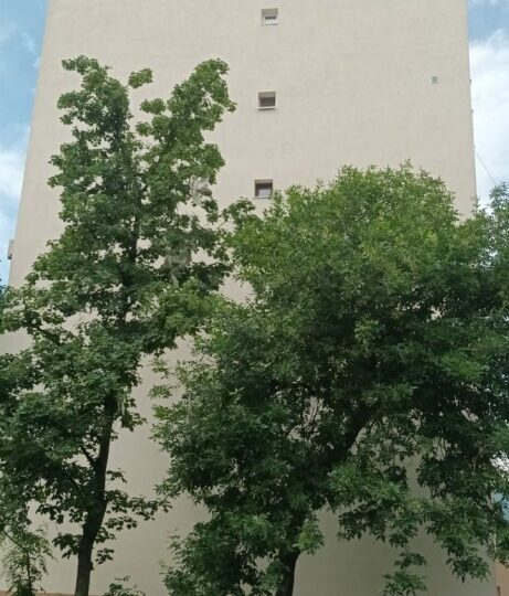 Завършиха дейностите по саниране на пореден блок в Асеновград (ГАЛЕРИЯ) 2 Завършиха дейностите по саниране на пореден блок в Асеновград (ГАЛЕРИЯ)