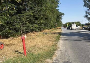 По-добра видимост и намален риск от пожари: Почистиха една от входно-изходните артерии на Пловдив (СНИМКИ)
