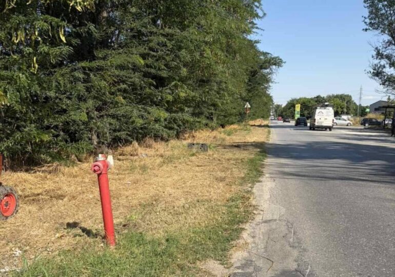 По-добра видимост и намален риск от пожари: Почистиха една от входно-изходните артерии на Пловдив (СНИМКИ)