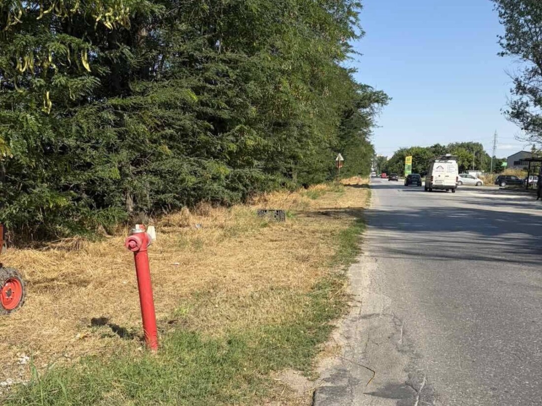 По-добра видимост и намален риск от пожари: Почистиха една от входно-изходните артерии на Пловдив (СНИМКИ)