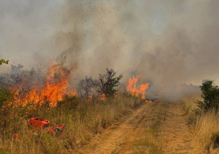 Голям пожар на изхода на Асеновград, пътят към Кърджали е затворен (СНИМКИ и ВИДЕО) 5 Голям пожар на изхода на Асеновград, пътят към Кърджали е затворен (СНИМКИ и ВИДЕО)
