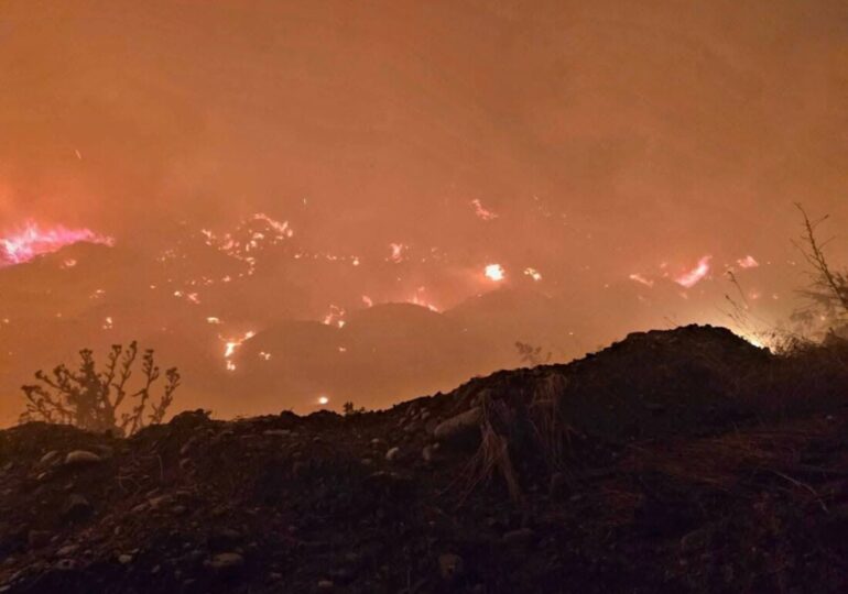 Пожарът край Асеновград е овладян, вижте каква е актуалната обстановка (ГАЛЕРИЯ) 20 Пожарът край Асеновград е овладян, вижте каква е актуалната обстановка (ГАЛЕРИЯ)