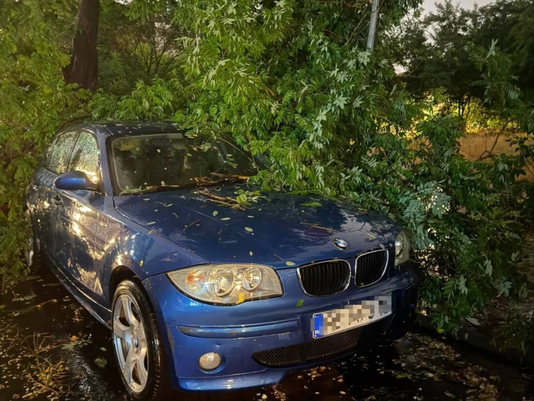 Продължава отстраняването на последиците след снощната буря в Пловдив (СНИМКИ) 3 Продължава отстраняването на последиците след снощната буря в Пловдив (СНИМКИ)