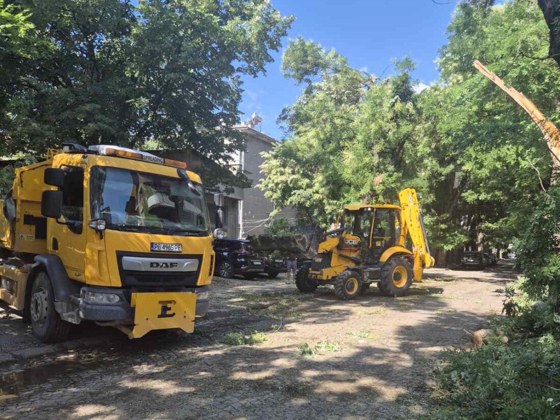 Продължава отстраняването на последиците след снощната буря в Пловдив (СНИМКИ) 8 Продължава отстраняването на последиците след снощната буря в Пловдив (СНИМКИ)