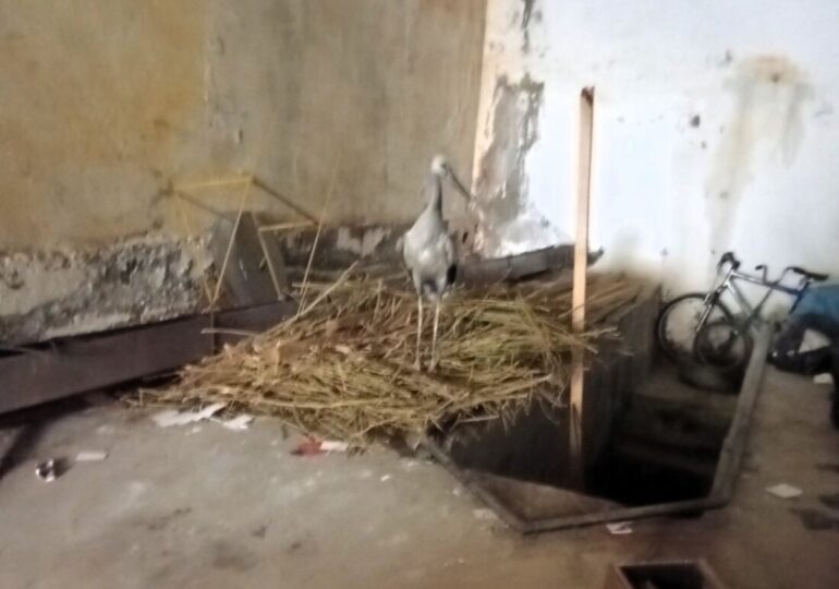 Пожарът край Асеновград е овладян, вижте каква е актуалната обстановка (ГАЛЕРИЯ) 9 Пожарът край Асеновград е овладян, вижте каква е актуалната обстановка (ГАЛЕРИЯ)