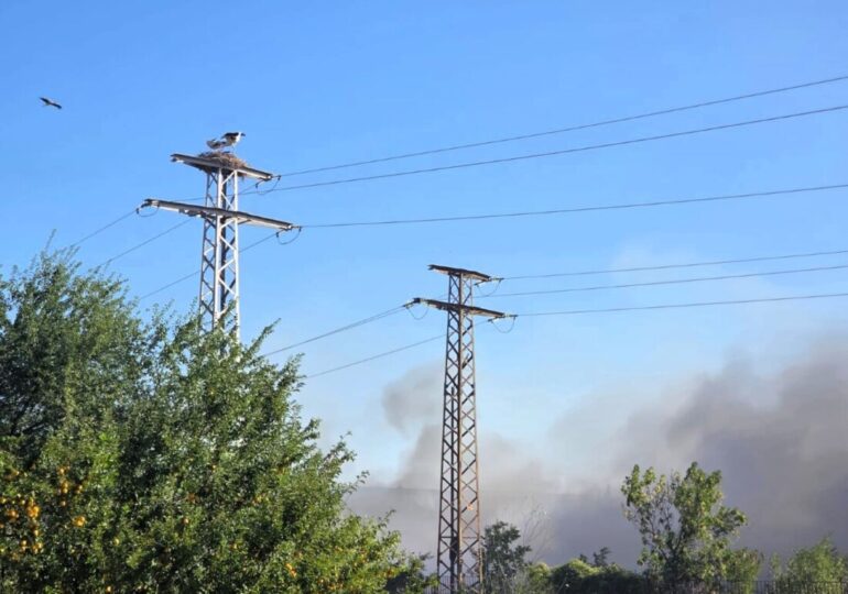 Пожарът край Асеновград е овладян, вижте каква е актуалната обстановка (ГАЛЕРИЯ) 8 Пожарът край Асеновград е овладян, вижте каква е актуалната обстановка (ГАЛЕРИЯ)