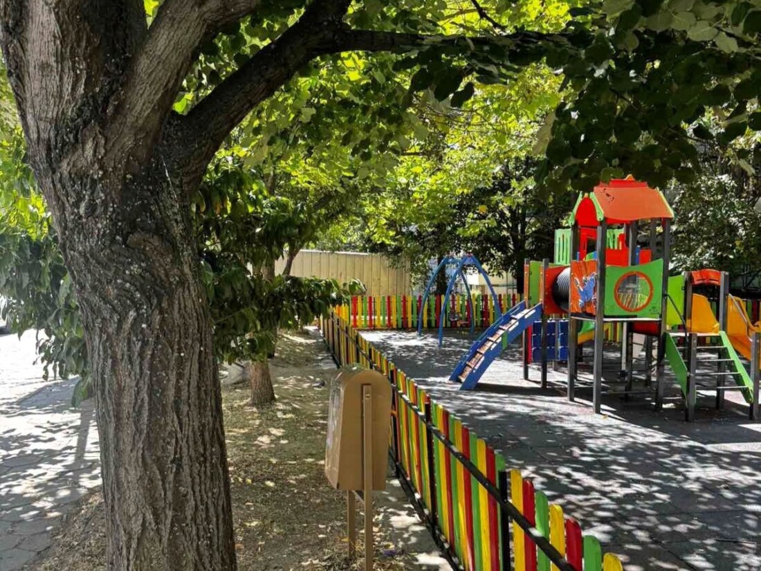 Продължават дейностите по облагородяване на зелените площи в Асеновград (СНИМКИ)