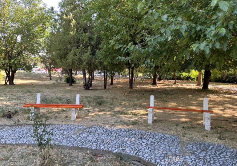 Нови пейки за парковете в Асеновград (ГАЛЕРИЯ) 6 Нови пейки за парковете в Асеновград (ГАЛЕРИЯ)