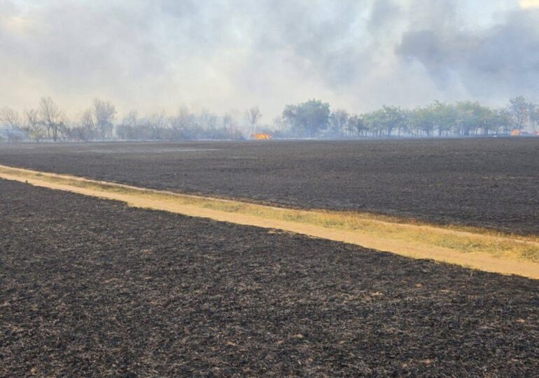 Нов пожар край Асеновград, този път на пътя за Садово (СНИМКИ) 3 Нов пожар край Асеновград, този път на пътя за Садово (СНИМКИ)