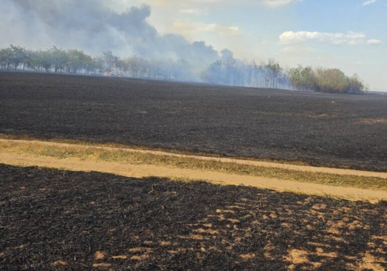 Нов пожар край Асеновград, този път на пътя за Садово (СНИМКИ) 2 Нов пожар край Асеновград, този път на пътя за Садово (СНИМКИ)