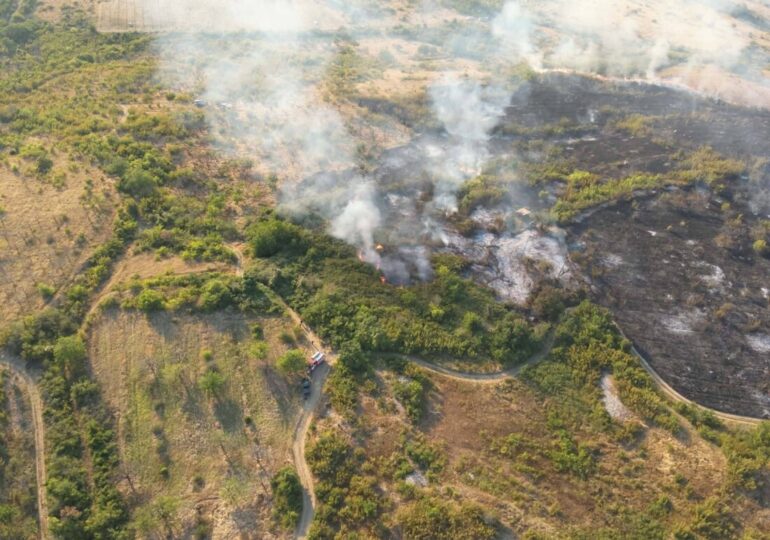 Огромен пожар изпепели над 500 декара над Куклен (СНИМКИ) 5 Огромен пожар изпепели над 500 декара над Куклен (СНИМКИ)