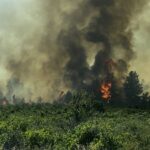 Голям пожар бушува край Стрелча, 6 екипа огнеборци и доброволци са на място (ВИДЕО)