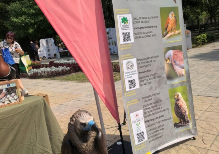 Със зелени идеи, забавления и благородна кауза Re:Bazaar отново завладя район „Южен“ в Пловдив (СНИМКИ)