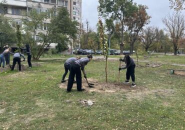 40 нови дръвчета вече обогатяват зелената система на Пловдив (СНИМКИ)