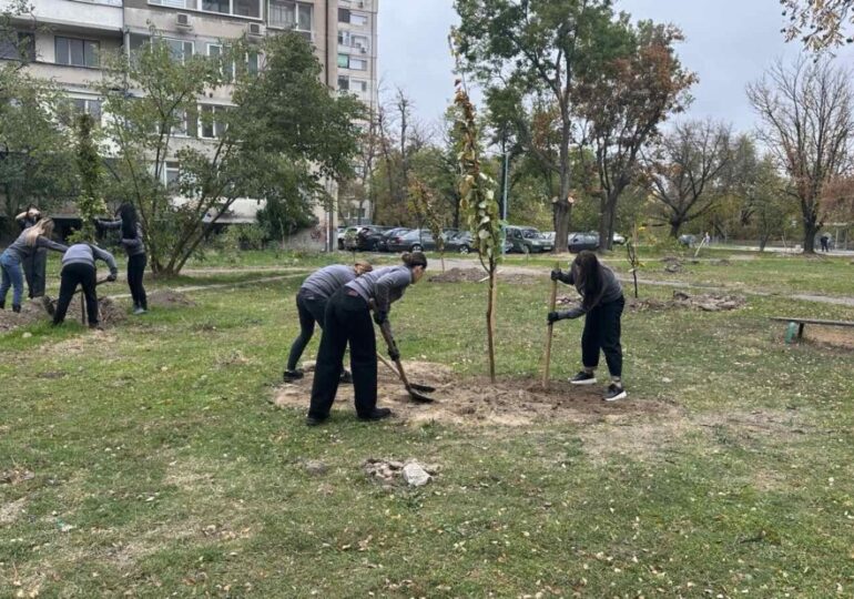 40 нови дръвчета вече обогатяват зелената система на Пловдив (СНИМКИ)