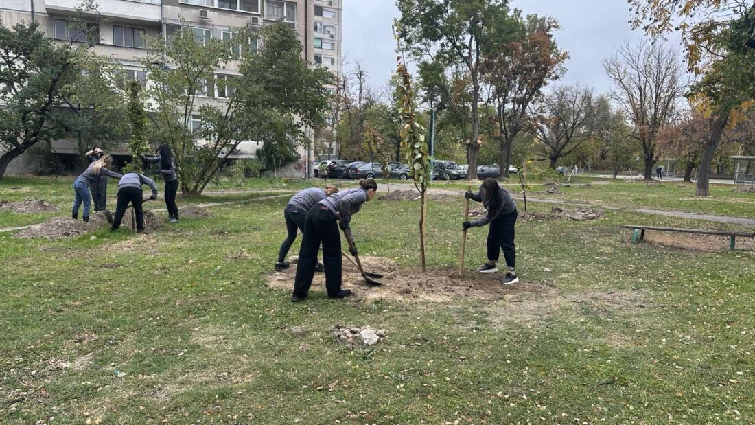 40 нови дръвчета вече обогатяват зелената система на Пловдив (СНИМКИ)