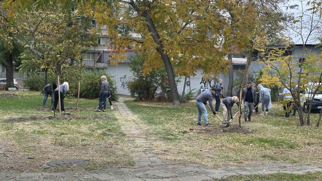 40 нови дръвчета вече обогатяват зелената система на Пловдив (СНИМКИ) 1 40 нови дръвчета вече обогатяват зелената система на Пловдив (СНИМКИ)